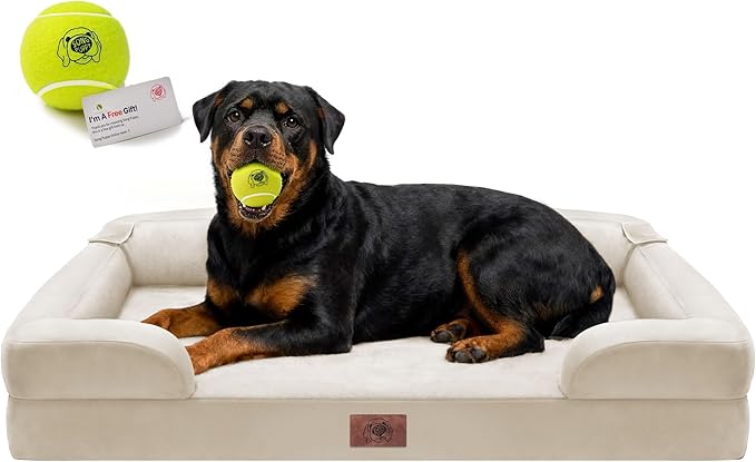 Orthopedic Dog Bed for Extra Large Dogs, XXL Waterproof Egg Crate Memory Foam Pet Bed Bolsters with Removable Washable Cover & Non-Slip Bottom, Tennis Ball Toy, 45x35