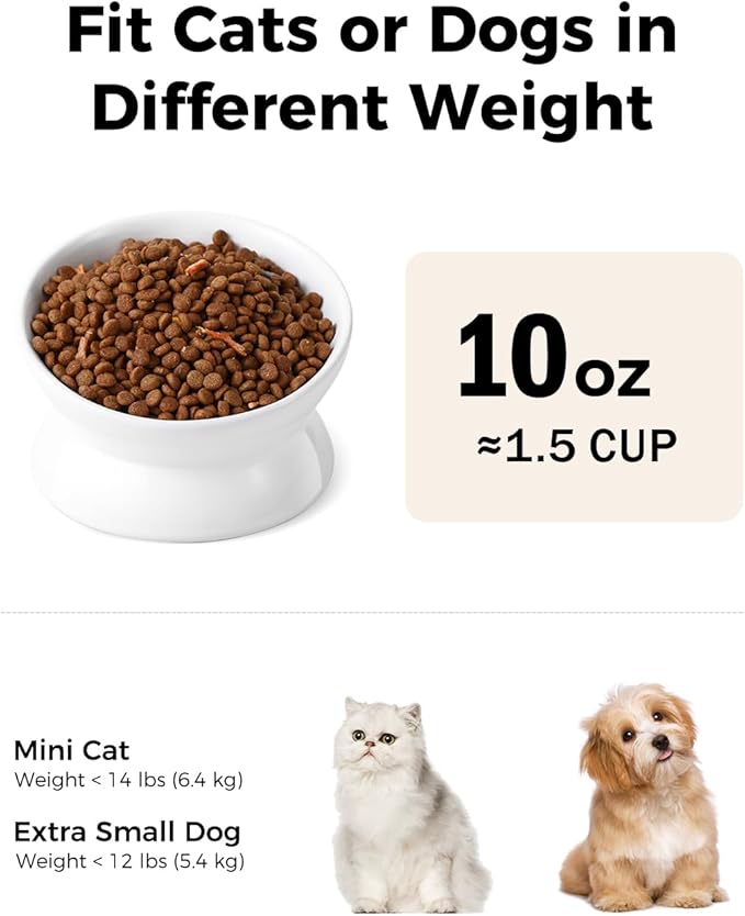LoeJan Elevated Cat Food Bowl, 5 Oz Ceramic Raised and Tilted Water Bowl, Anti Vomiting and Protect Pets' Spines Dishes for Small Dog, Fat Faced Cat, Kitten (White, 10 OZ)