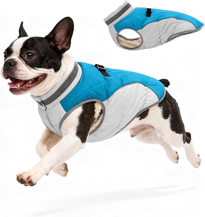 Dog Coat for Small Dogs, Adjustable Dog Jackets for Cold Weather, Reflective Winter Coat with Built-in Harness, Snowsuit Fits Dogs 7-14 lbs and Up, Size S Blue