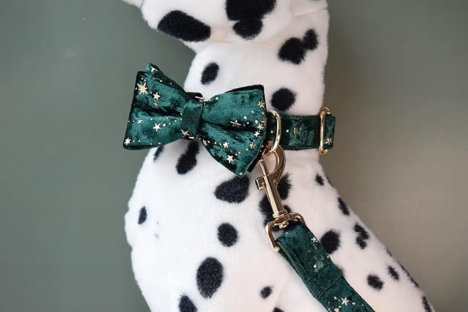Custom Dog Collar with Metal Buckle - Pet Collars Personalized with Name and Phone Number (Velvet Print)