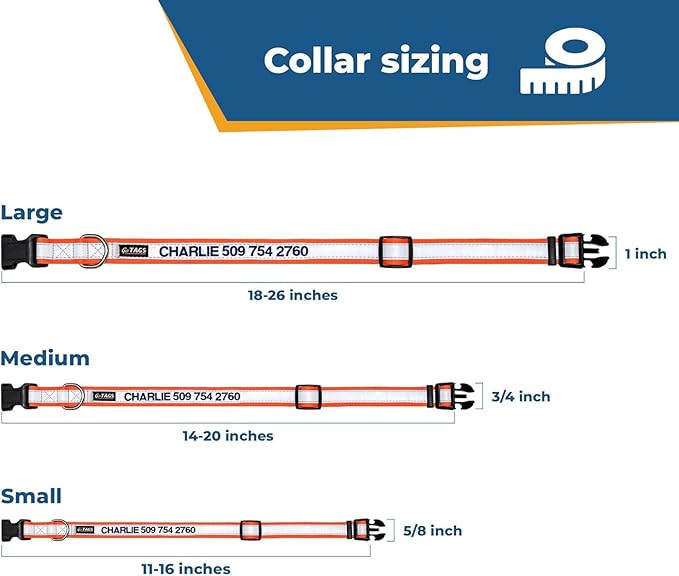 GoTags Reflective Personalized Dog Collar, Custom Embroidered Safety Collar with Pet Name and Phone Number for Boy and Girl Dogs, Small, Medium, and Large Adjustable Sizes (Medium, Charcoal)