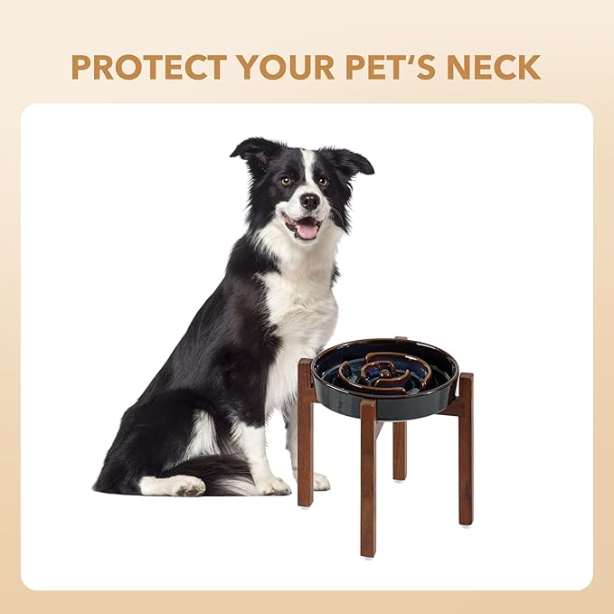 Ceramic 1.6 Cup Raised Slow Feeder Dog Bowl Set, Elevated Acacia Wood Stand for Medium and Large Dog, 8.2inch Slow Dish, Stop Bloat(Single Bowl+ Stand, Starry Sky)