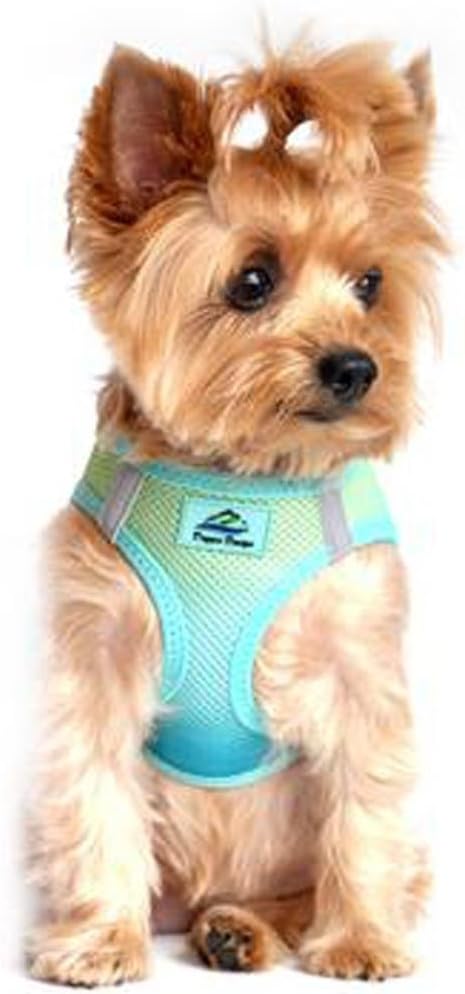 Doggie Design No Choke Dog Harness - Simple Step-in and Go Dog Vest for Small, Medium, and Large Breeds - Breathable Mesh Polyester Pet Harness - Aruba Blue - S