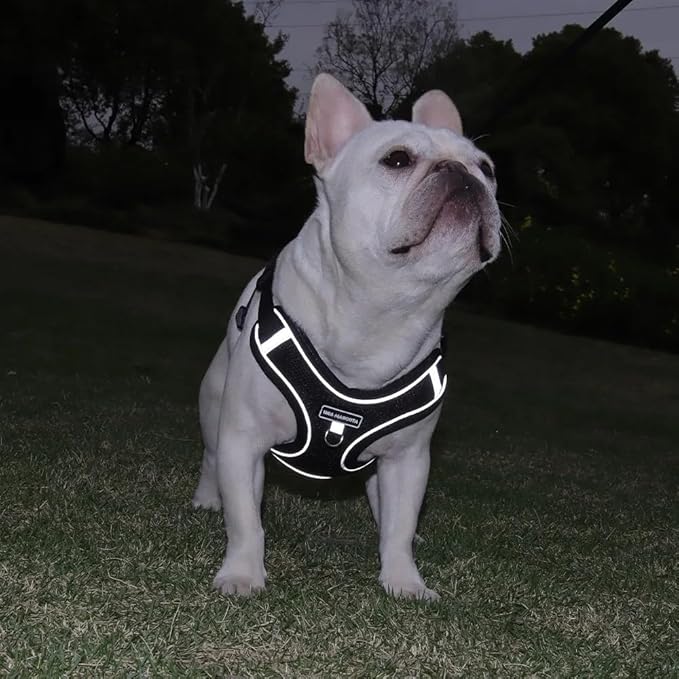 Dog Harness and Leash Set, Adjustable Triangle, Reflective Adjustable Puppy Vest, No Pull Soft Mesh Harness for Small, Medium Dogs, Cats (Black, XL)