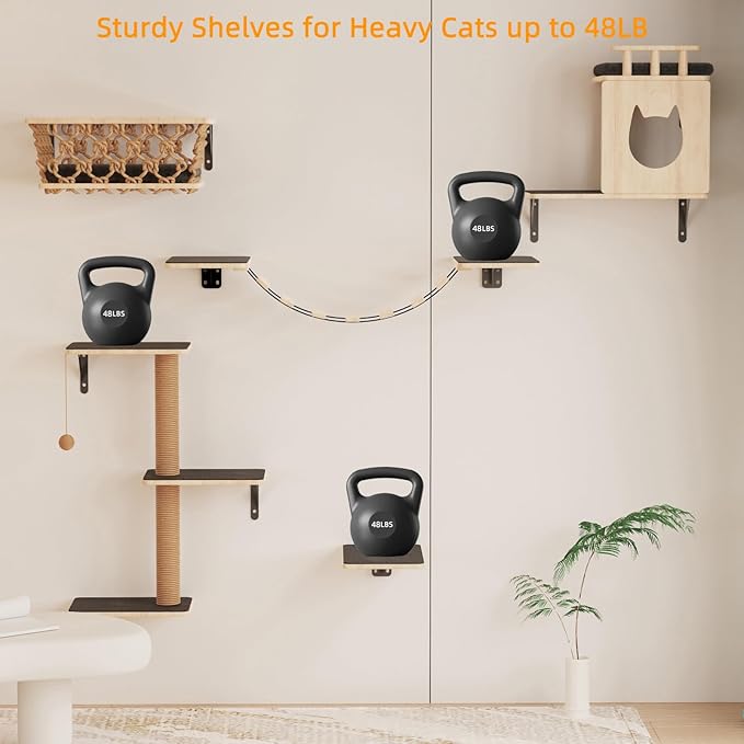 5-in-1 Cat Wall Shelves Set with Hammock, Wall-Mounted Cat Furniture Includes Condo, Bridge, Ladder & Steps for Indoor Cats, Safe & Stable (Gray)