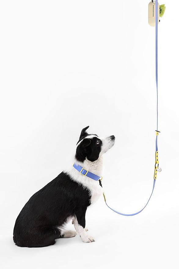 WLK1006C-5SET Luna Large 8FT Adjustable 6-in-1 Waterproof Hands-Free Leash and Collar with LED Flashlight, Bag Dispenser, and Poop Bag Holder, Curaçao