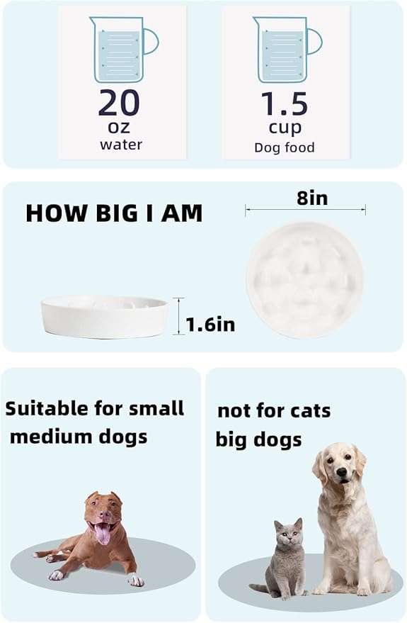 HAOTOP Ceramic Fun Slow Feeder Bowl, Porcelain Slow Eater Bowl for Medium Sized Dogs (White)