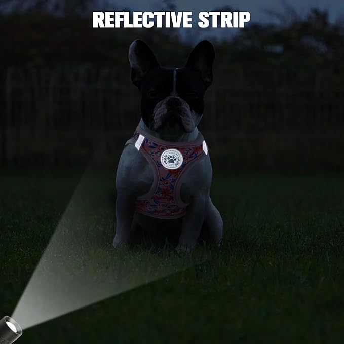 BEAUTYZOO Step in Dog Harness and Leash Set,Floral Pattern Reflective Dog Harness No Pull No Choke Puppy Harness for Small Medium Large Dogs Cats,Soft Padded Mesh Vest Harnesses for Girl and Boy Pets