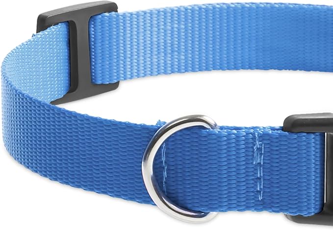 Replacement Collar for Shock Collar, Stylish & Comfortable Nylon Dog Collar with Quick Release Buckle, Compatible with PetSafe Bousnic Sportdog Garmin Ecollar Replacement Strap (Purple & Blue)