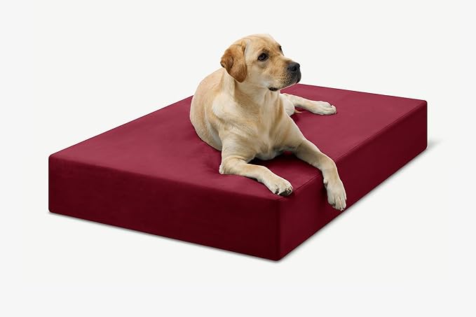 Barker Beds Large Orthopedic Dog Bed - 7" Memory Foam Mattress - 50-70 lbs - Joint Pain & Arthritis Support - Vet Recommended, Washable Cover - Made in USA - 48"x30"x7" - Burgundy