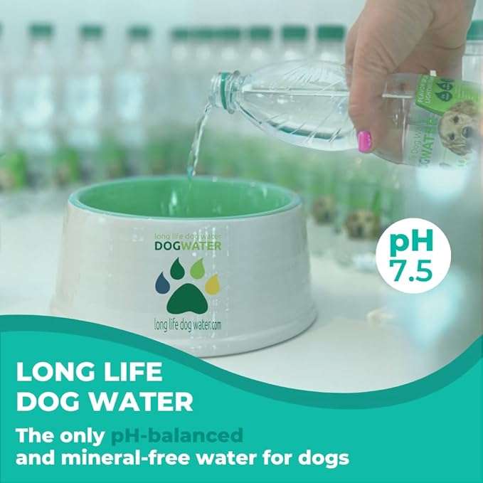 Daily Spring Canine Water, pH-Balanced Water for Dogs, Helps with Electrolytes for Dogs & Improve Dog Hydration, Mineral-Free - 12-Pack