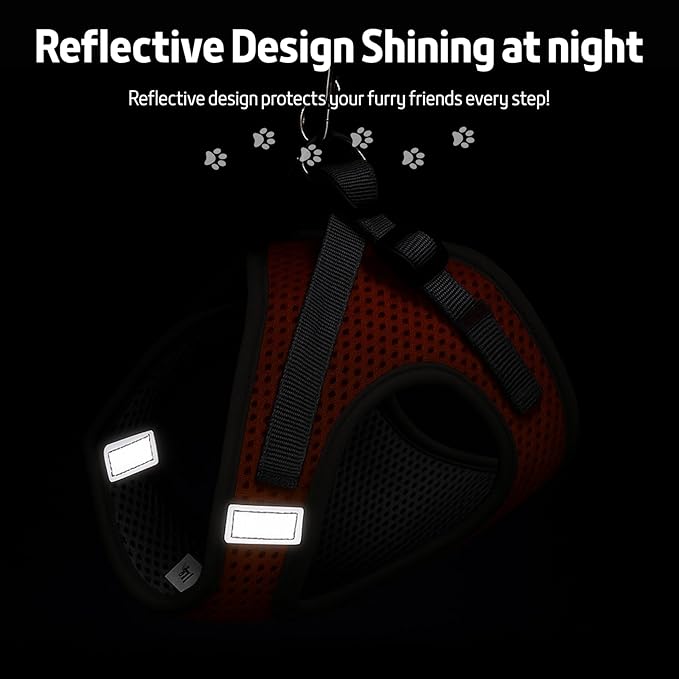 Small Dog Harness and Leash Set, Adjustable Step-in Dog Harness with Back Clip, Reflective Escape Proof Easy Walk Dog Harness for Small Sized Dog, Puppy, Cats (PinkBlue XS)