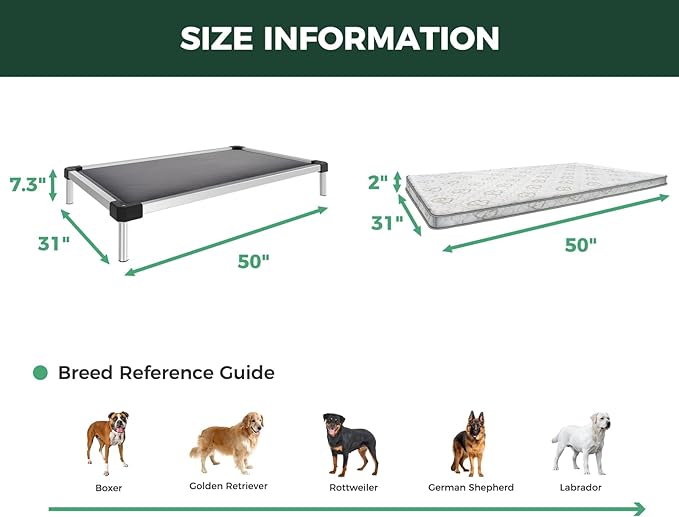 FXW TitanNest Chew-Proof Elevated Dog Bed, Raised Cot for Indoor/Outdoor/Camping Use, Durable & Washable Padded Pet Bed with Exclusive Cover for Large Dogs, 50.0" L x 31.0" W x 7.3" H, Gray