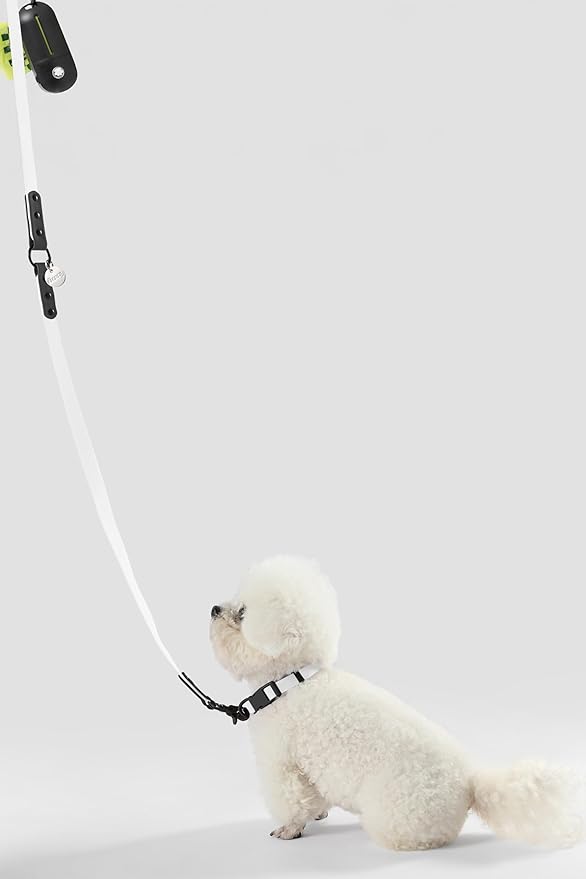 WLK1004F-5SET Luna Small 8FT Adjustable 6-in-1 Waterproof Hands-Free Leash and Collar with LED Flashlight, Bag Dispenser, and Poop Bag Holder, Seltzer