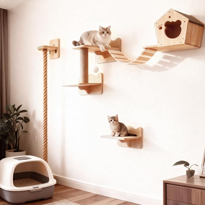 Cat Wall Shelves, Multi-Level Cat Climbing for Indoor Cats, DIY Wall-Mounted Cat Furniture Set with Toys for Play & Rest