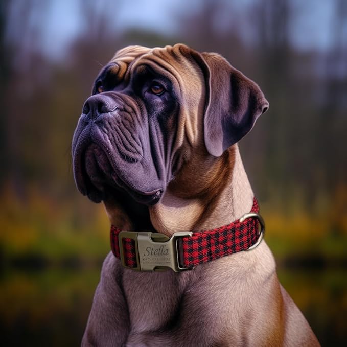 Personalized Dog Collar with Name and Phone Number Engraved,Adjustable Custom Puppy Collar,Organic Cotton Pet Collar for Small Medium Large Boy Girl Dogs