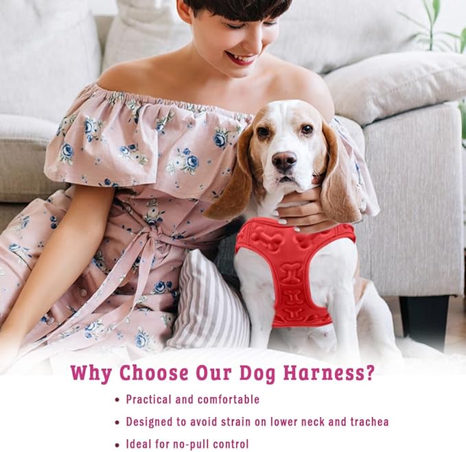 Comfort Fit All Weather Dog Harness No Pull Soft Padded Extra Comfort Step in Dog Harness with Adjustable Buckles Easy Control Vest Harness for Small Medium Large Dogs Inside Velvet Plush