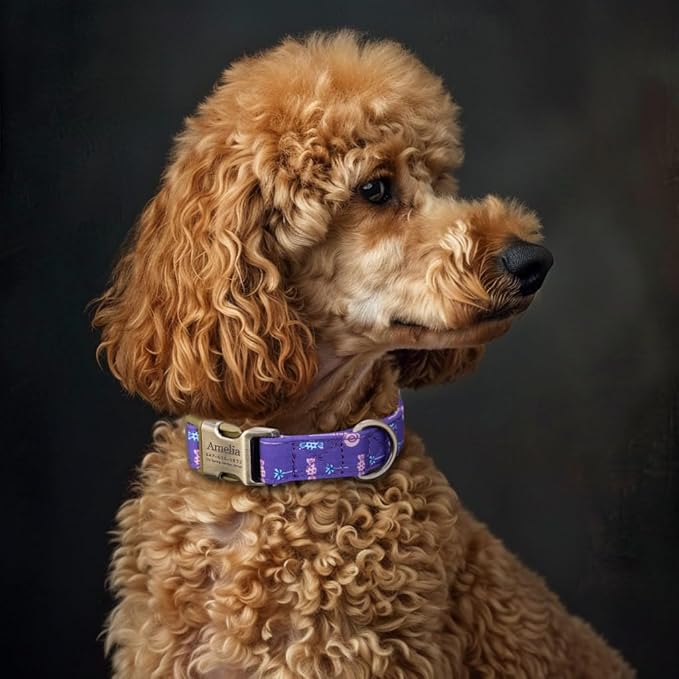 Personalized Dog Collar with Name and Phone Number Engraved,Adjustable Custom Puppy Collar,Organic Cotton Pet Collar for Small Medium Large Boy Girl Dogs