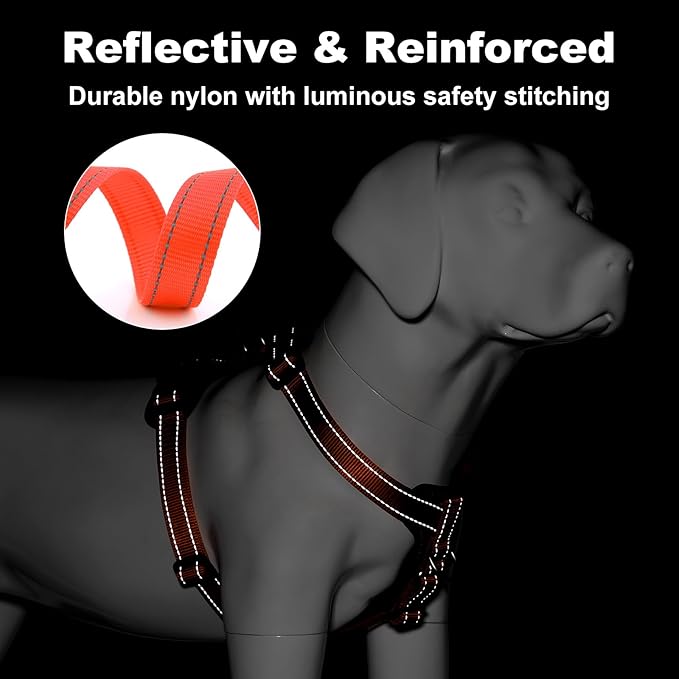 Plutus Pet Adjustable No Pull Dog Harness with Leather Accents, Heavy Duty Reflective Nylon Vest for Training, Hiking, Easy Walk Harness for Small, Medium, Large Dogs (Orange, S)