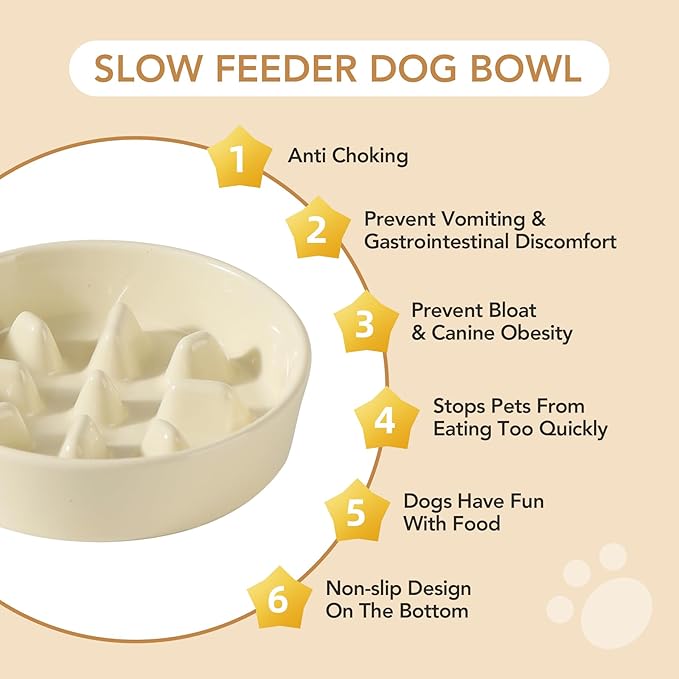 Ceramic 1.2 Cup Raised Slow Feeder Dog Bowl Set, Elevated 6.1inch Bowl and 7.3inch Slow Pet Food Dish with Wooden Stand for Small and Medium Dog (2 x Beige+ Stand)