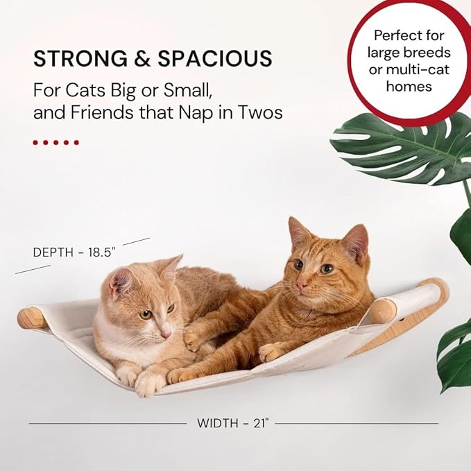 7 Ruby Road Cat Hammock Wall Mounted Shelf with Two Steps Set - Wall Shelves and Perches for Sleeping, Playing, Climbing and Lounging - Modern Cat Bed & Furniture for Indoor and Large Cats or Kitty