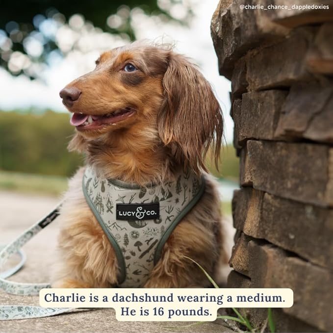 Lucy & Co. Cute Reversible Dog Harness Walking Halter - Best Designer Pet Harnesses for XS - XL Dogs - Padded Adjustable Vest for Easy Walking-X-Small-Green Outdoor Plaid