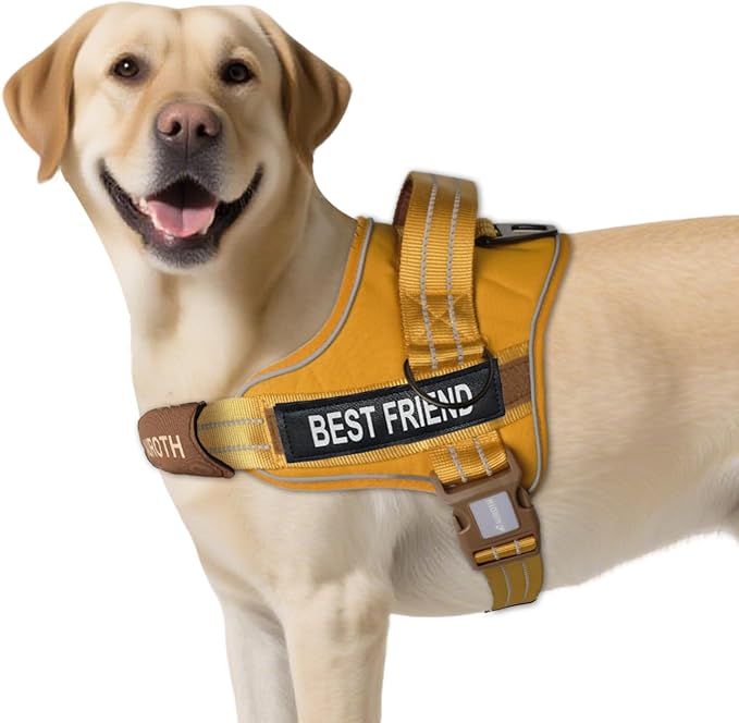 AUROTH Dog Harness No Pull Soft Padded Service Dog Vest, No Choke, Easy On Pet Vest with Handle, Adjustable Reflective Dog Harness for Small, Medium and Large Dogs, Easy Walking and Training