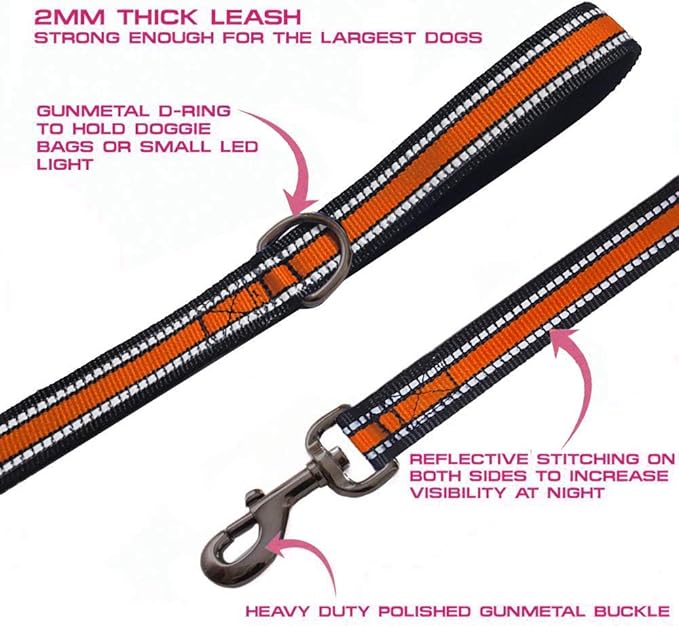 JSXD Heavy Duty Double Handle Dog Leash - 5 FT with Padded, Reflective Rope for Small to Large Dogs (Wide-Orange)