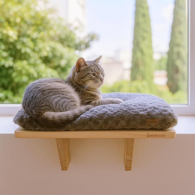 Cat Window Bed - Cozy Window Perch for Cats Inside - Stylish Cat Furniture with Soft Cushion, Perfect Kitten Bed & Cama para Gatos for Sunbathing, Hamaca para Gatos