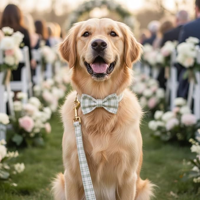 PETDURO Personalized Dog Collar Sage Green Plaid for Large Medium Dogs | Engraved Name and Phone Number on Gold Metal Buckle for Boys & Girls | Add Leash & Bow Tie via Customize Now