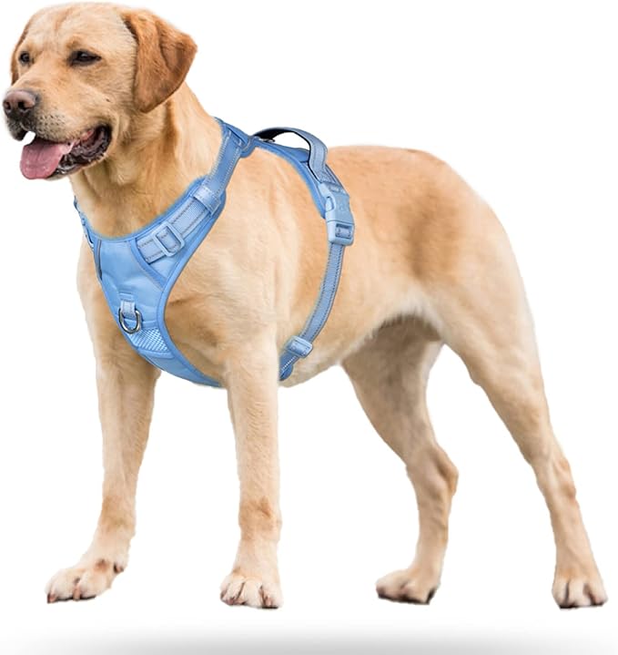 PoyPet No Pull Dog Harness, No Choke Reflective Dog Vest, Adjustable Pet Harnesses with Easy Control Padded Handle for Small Medium Large Dogs(Light Blue Matching Trim,S)