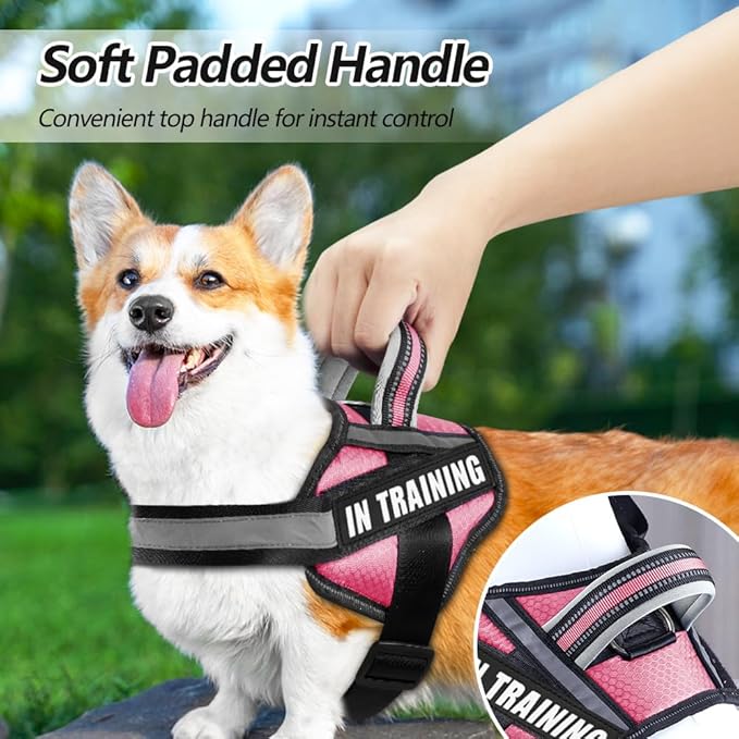 Dog Vest Harness and Patches Set, Animire in Training Service Dog Harness with 10 Dog Patches, Reflective Dog Vest with Handle for Small, Medium, Large, and Extra-Large Dogs