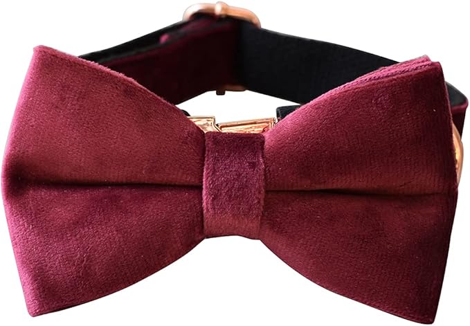 Dog Collar Custom Personalized Engraved Name and Phone Number for Puppy Small Medium Large Pets (M, Red Wine)