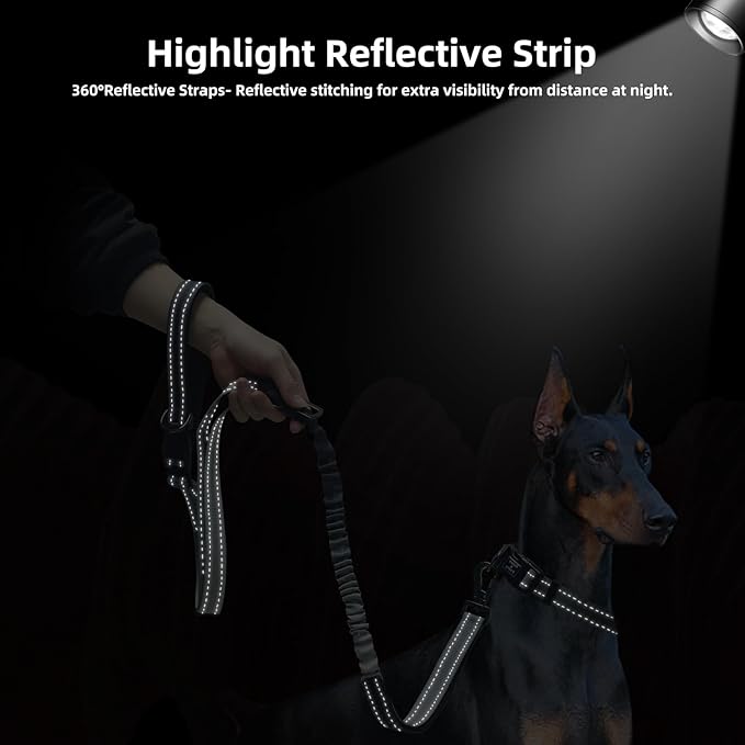 Roses&Poetry Hands Free Dog Leash for Medium Large Dogs Heavy Duty, No Pull Bungee Dog Running Waist Leash for Walking Training with Car Seatbelt 4-6FT