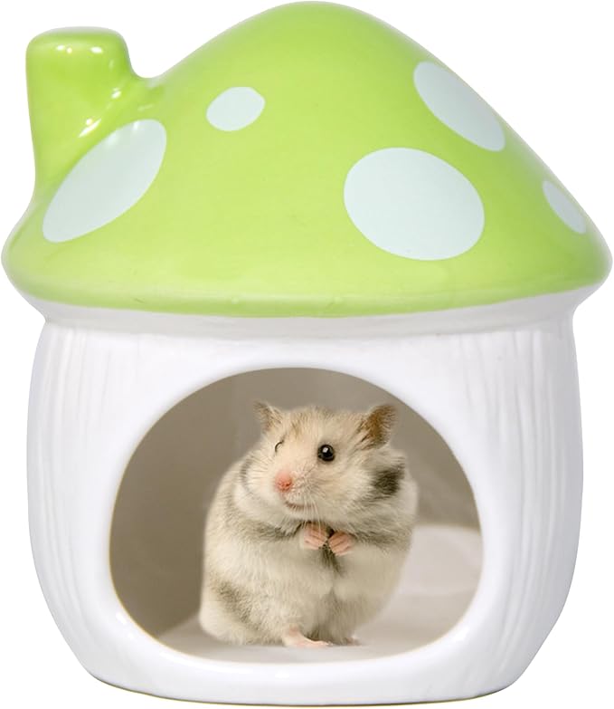 Ceramic Mushroom Hamster Hideout - Hamsters Habitat for Hamsters Chinchillas Hedgehogs and Gerbils Mouse Small Pet Guinea Pigs House Hamster Bed (Green)
