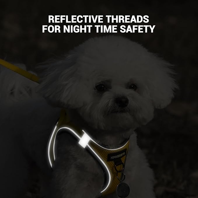 Dog Harness and Leash Set, Dog Harness for Dogs No Pull, No-Chock Step-in Reflective Breathable Lightweight Easy Walk Vest Harnesses with Safety Buckle for Small Medium Dogs, Cats (Yellow, L)