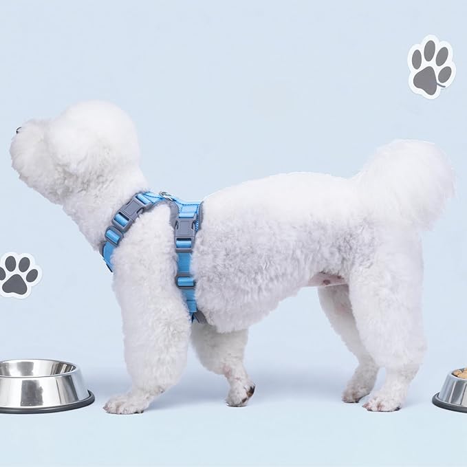 Small Dog Harness and Leash Set，No Pull Adjustable Pet Harness for Small Dogs ，Breathable Mesh Reflective Dog Vest Harness (Light Blue, S)