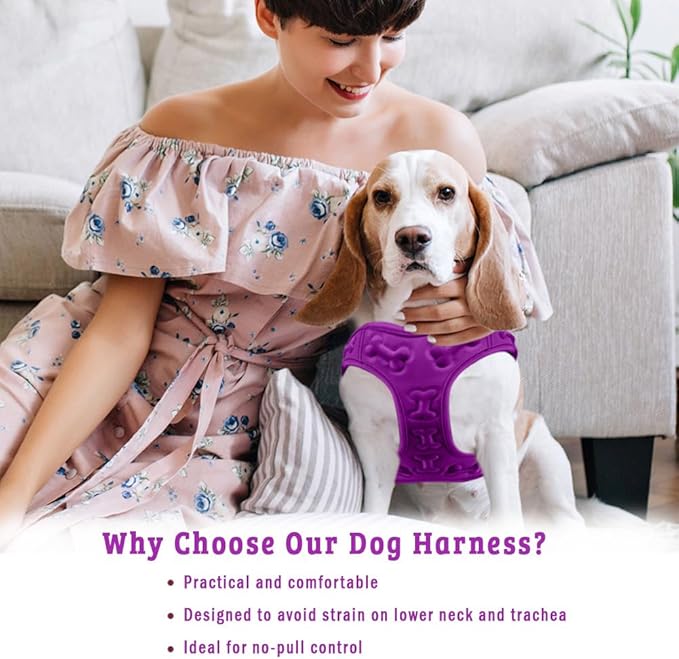 Comfort Fit Dog Harness No Pull with Adjustable Buckles Soft Padded Reflective Choke Step-in Pet Vest with Easy Control Handle for Small Medium Large Dogs & Puppies for Walking Running Training