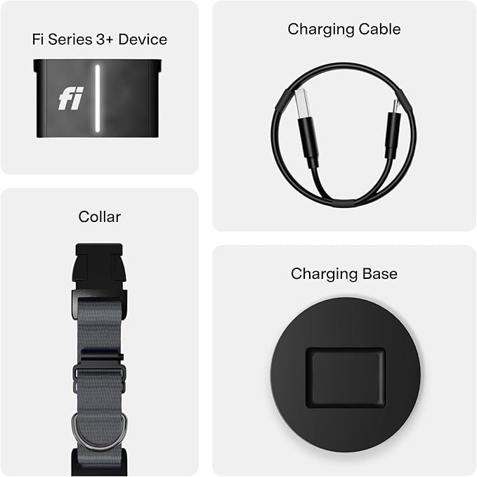 New Fi Series 3+ Smart Dog Tracker Collar [12 Month Membership Included] GPS Tracker for Dogs with Health & Behavior Monitoring, Escape Alerts, Waterproof, LED, Apple Watch Compatible (Gray, Small)