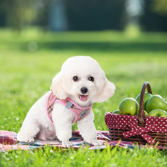 EXPAWLORER Classic Plaid Puppy Harness - Small Dog Harness and Leash Set - Dog Collar and Leash Set with AirTag Holder, Soft Padded Step in Dog Vest Harness No Pull Reflective for Outdoor, Pink M