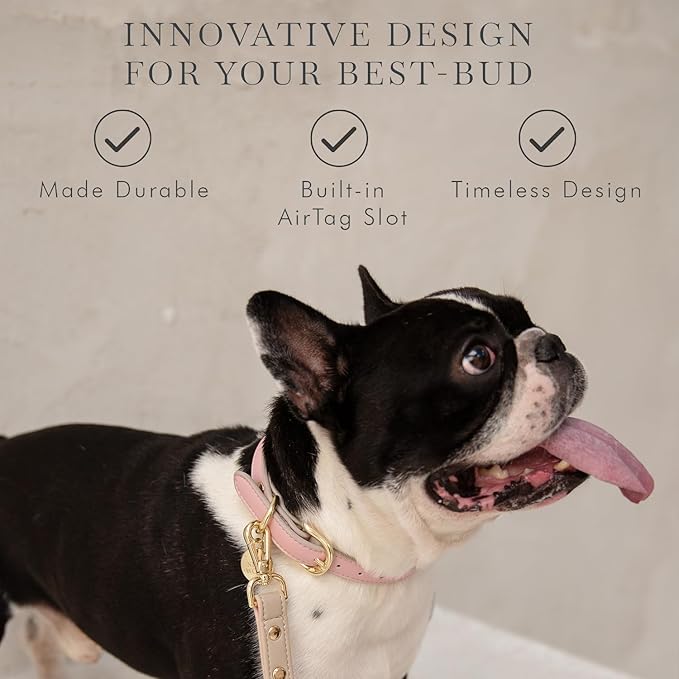 NINA WOOF Cupertino Dog Collars, Harnesses & Leashes Made from Vegan Leather with Dog Tracker Device Holder Adjustable Dog Collar (Extra Small (Neck: 9x12), Pink)