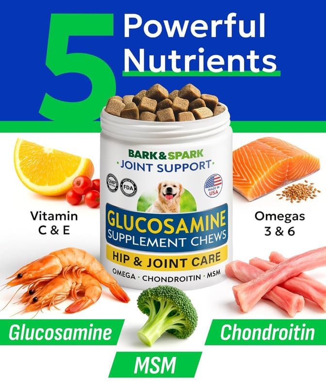 Glucosamine Chondroitin Dog Hip & Joint Supplement - Joint Pain Relief - Hip & Joint Chews for Dogs - Joint Support Large Breed - Senior Doggie Vitamin Pills Joint Health - (240 Treats - Bacon)