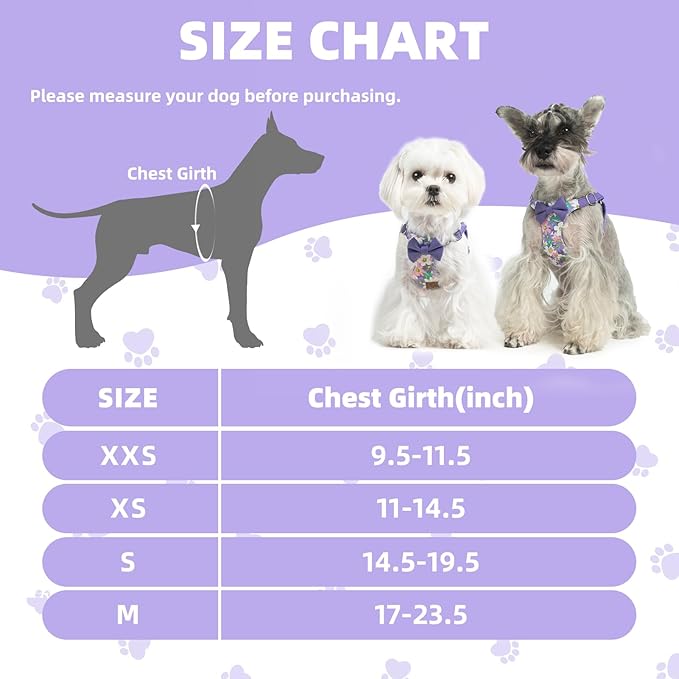 PUPTECK Dog Harness and Leash Set Small Sized, Step-in Cute Puppy Harness, Soft Lightweight Padded Vest, Escape Proof No Pull Pet Harnesses Easy for Walking, Flower Purple, XXS