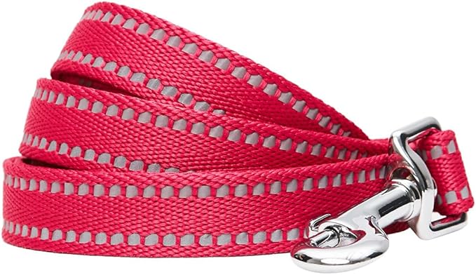Blueberry Pet Essentials Matching Dog Collar & Leash Set | Pastel Reflective Adjustable Collar with 5 ft Lead for Medium Dogs, Very Berry