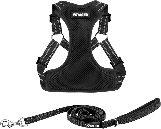 Best Pet Supplies Voyager Mesh Dog Breathable Harness Reflective Stitching, All Weather Adjustable for Walking Training, or Running - Heavy Duty & Durable, Harness Leash Set (Black), S