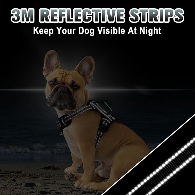 BARKBAY No Pull Dog Harness Large Reflective Dog Harness with Front Clip and Easy Control Handle for Walking Training Running with ID tag Pocket(Black,XS)