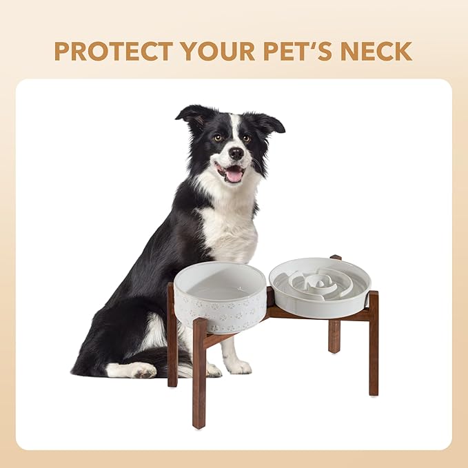Ceramic 1.6 Cup Raised Slow Feeder Dog Bowl Set, Elevated 7.3inch Bowl and 8.2inch Dish with Acacia Wood Stand for Medium and Large Dog(2 x Reactived Glaze -White+ Stand)