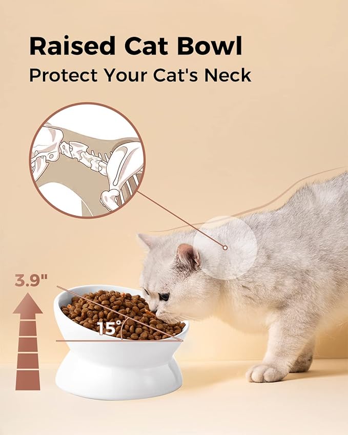 LoeJan Elevated Cat Food Bowl, 5 Oz Ceramic Raised and Tilted Water Bowl, Anti Vomiting and Protect Pets' Spines Dishes for Small Dog, Fat Faced Cat, Kitten (White, 1 Pack)