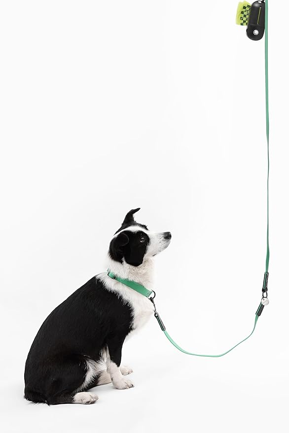 WLK1006K-5SET Luna Large 8FT Adjustable 6-in-1 Waterproof Hands-Free Leash and Collar with LED Flashlight, Bag Dispenser, and Poop Bag Holder, Julep