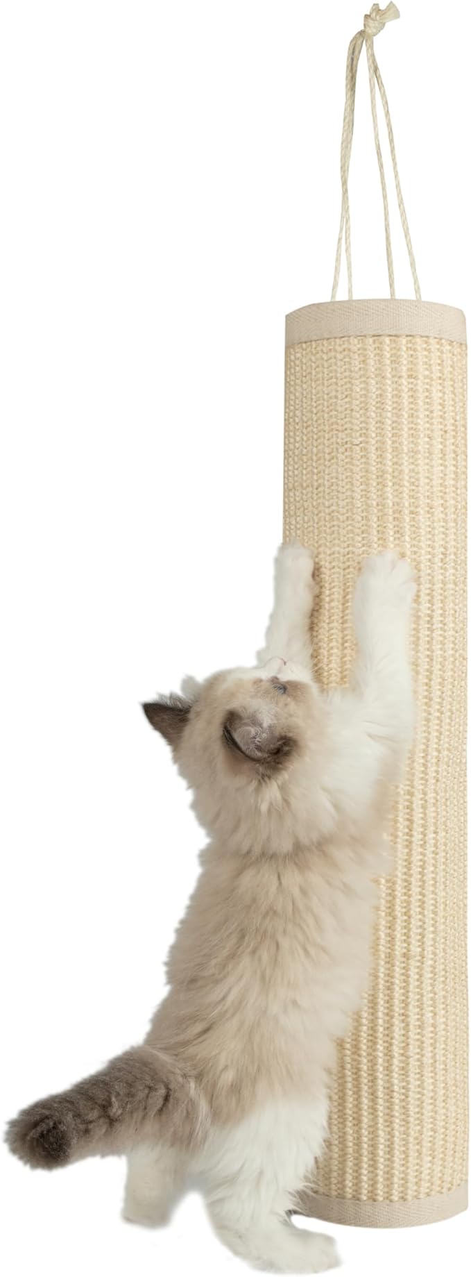 Best Pet Supplies Catify Cat Scratcher, Fun Interactive Scratchers, Posts, Poles, Claw Safe, Furniture Saver Indoor Play Support Natural Cat Behaviors Heavy Duty - Log (Cream)